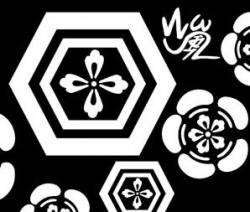 Yamaarashi : Arashi 2003